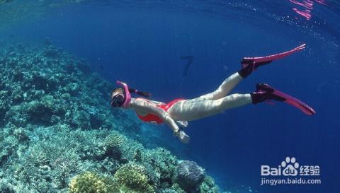 严控碳水竟致脱发?医生:健康减重并不需要完全戒碳水